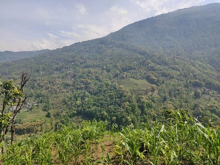 Lingseykha_Mountain view 01