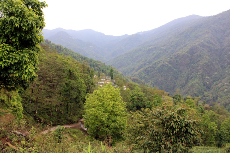 Lingseykha_Mountain view 02