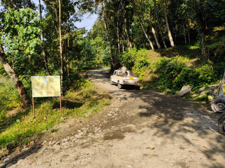 Lingseykha_Road 01