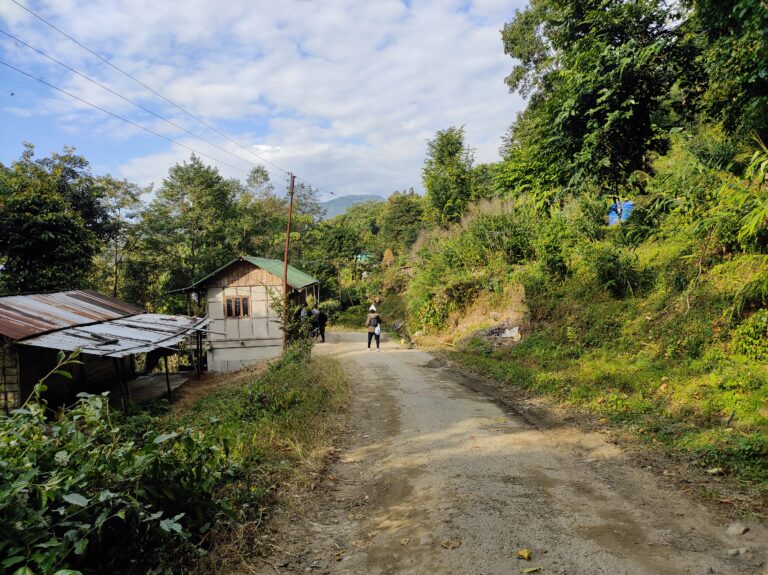 Lingseykha_Road 02