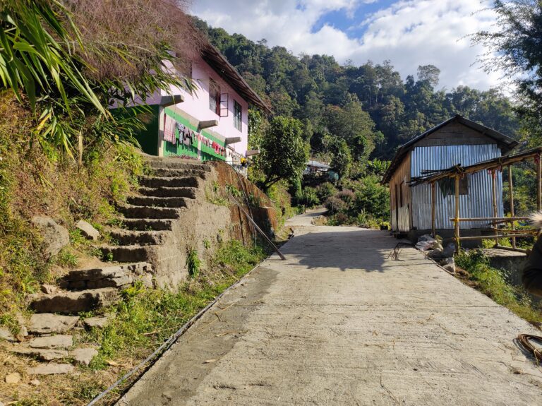 Lingseykha_Road 04