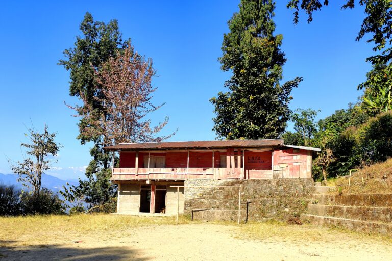 Lingseykha_School
