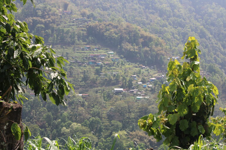 Malibasay_Surroundings 01