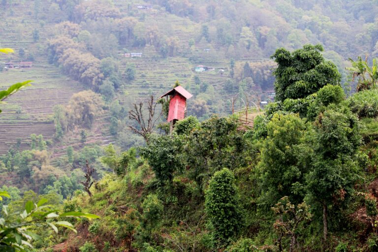 Malibasay_View point 01
