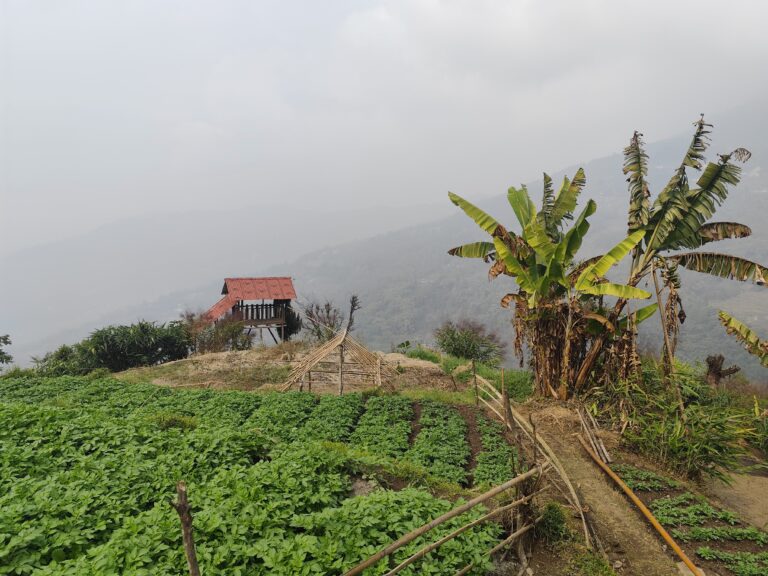 Malibasay_View point 03