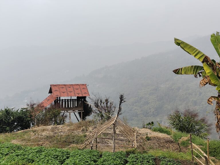 Malibasay_View point 04